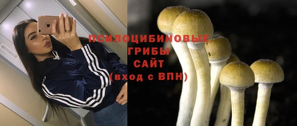 герыч Заводоуковск