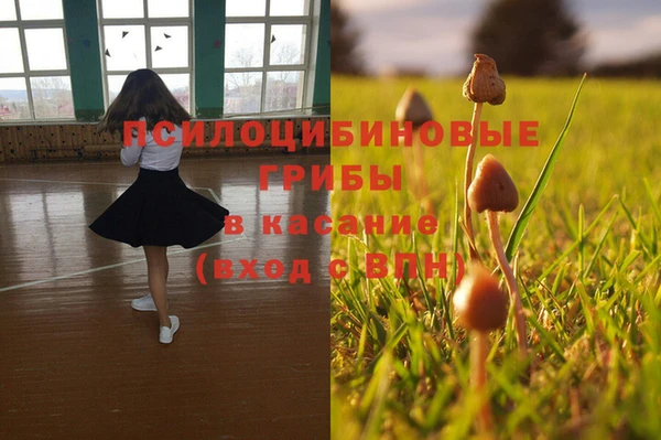 герыч Заводоуковск