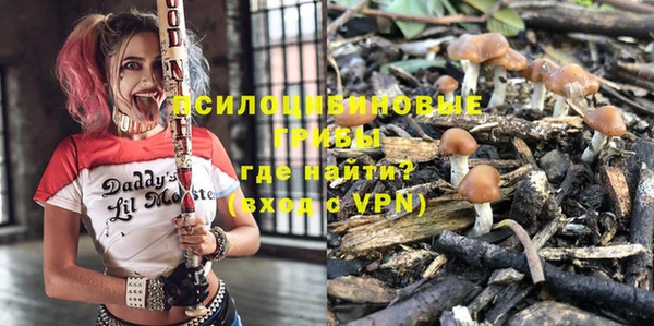 ПСИЛОЦИБИНОВЫЕ ГРИБЫ Заволжск